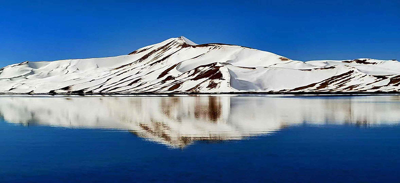 阿尔金山自然保护区的生态之旅