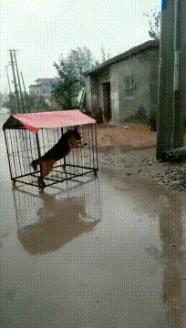 搞笑gif:大姐,咱不聊了行吗,我都走错路了,忘上桥了