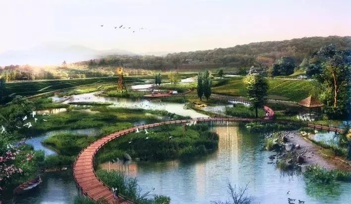 阜阳华侨沟湿地公园或将取消不建!