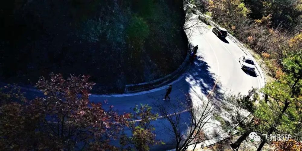 黄花岭段的盘山公路曲折蜿蜒,道路线条优美灵动,四季风景迥异,是秦岭