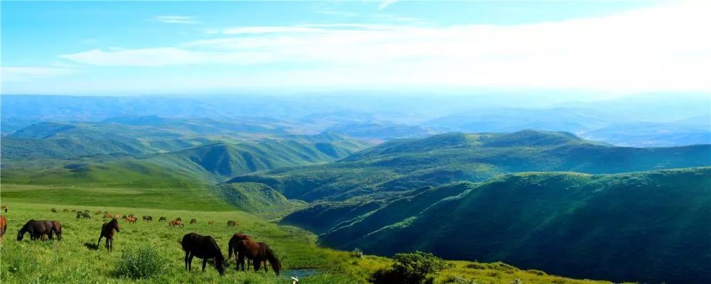 关山行——庄浪关山大景区电视宣传片解说词