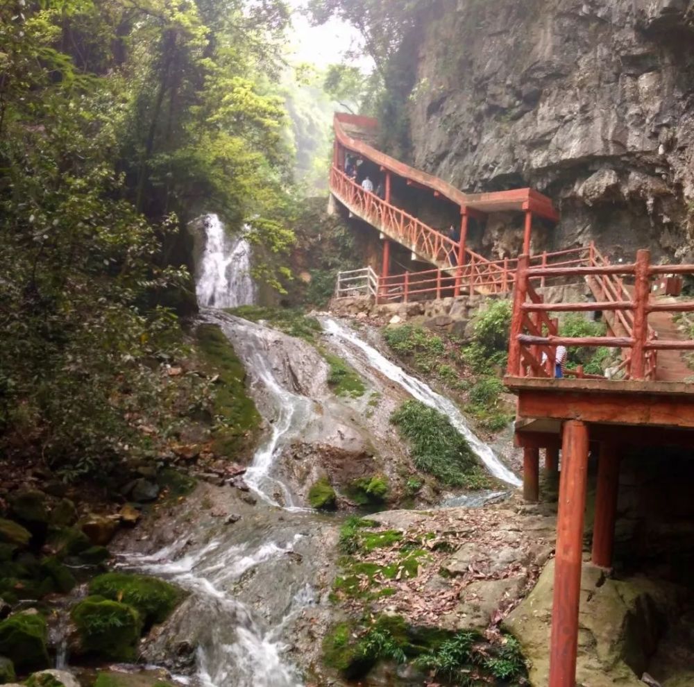 天上九头鸟,地上湖北佬,宜都九凤谷