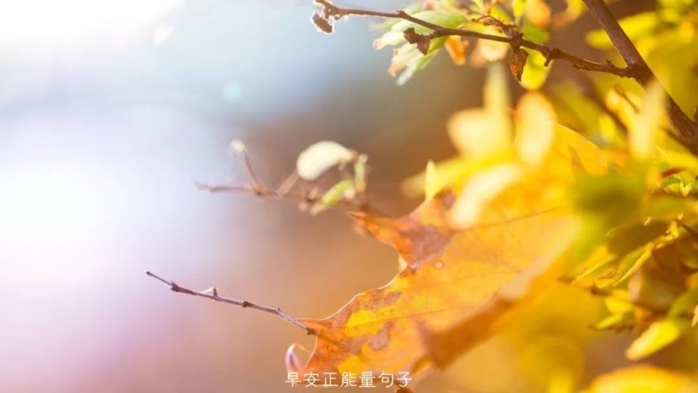 人的生命力是没有极限的,一个人发呆,看一本书,听一首歌,会觉得时间被