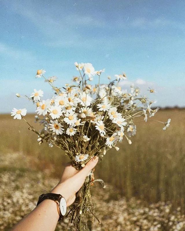 人生难得一知己,你的生命里,有这样的知己吗?