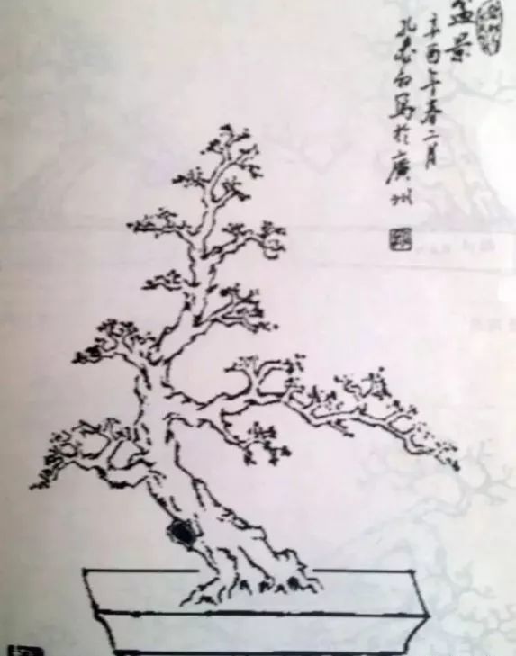 孔泰初手绘盆景图