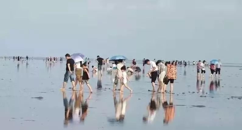 启东市,旅游景区,长三角,平湖市,黄金海滩,俞夏雯