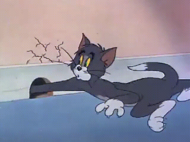 轻松一刻:倒霉汤姆,狡猾杰瑞,猫的样子太好笑啦!