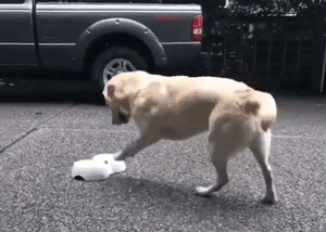 幽默搞笑动图:今天去见网友了,可是照片和本人差距好大