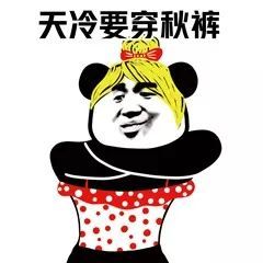 熊猫头表情包:天冷要穿秋裤