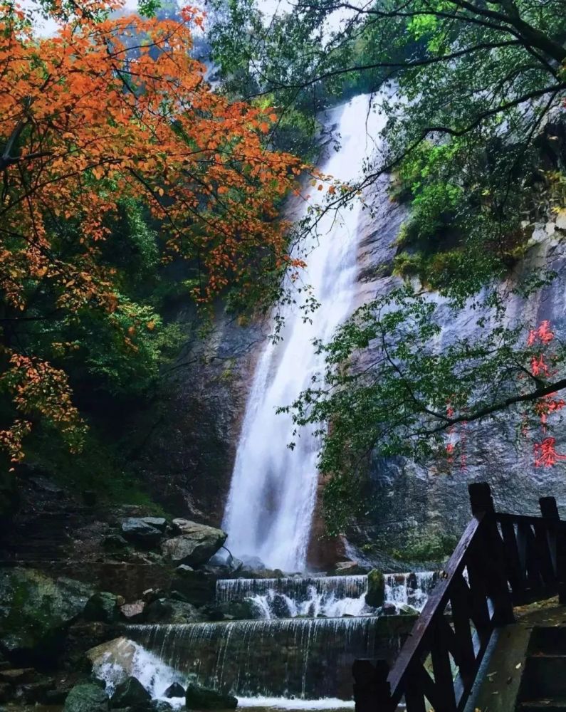 景区门票,红河谷,红河谷森林公园,门票