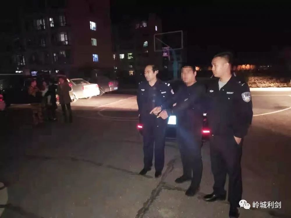 范家屯男子一夜间疯狂砸车盗窃20起,不到30小时就被抓