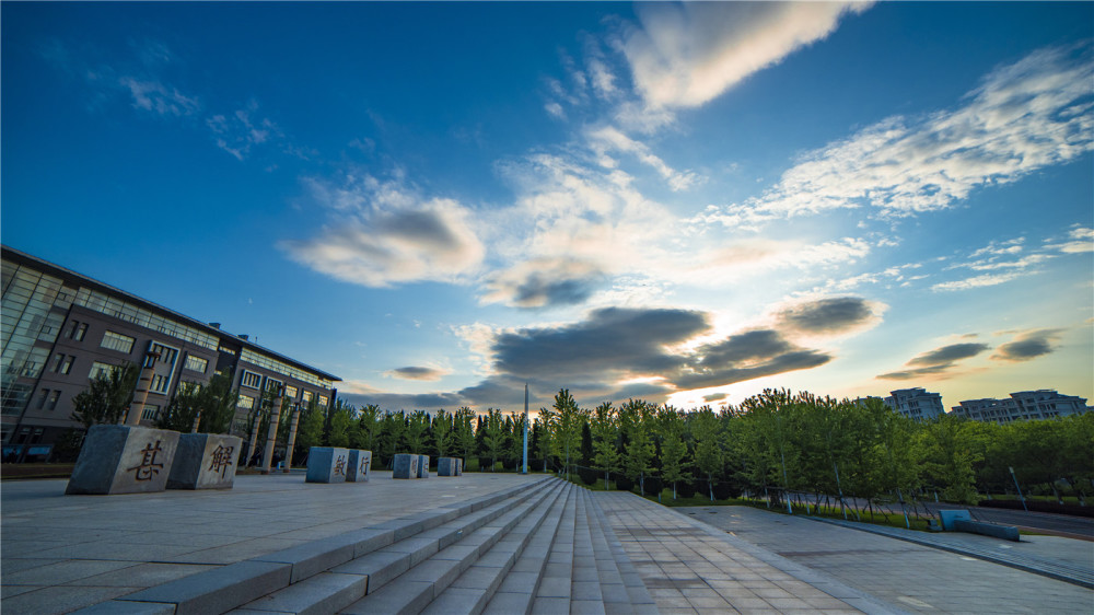 北京大学,高校,大连医科大学,保研,中国医科大学,一本