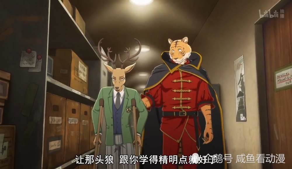 beastars,动物狂想曲,剧情分析,人物分析