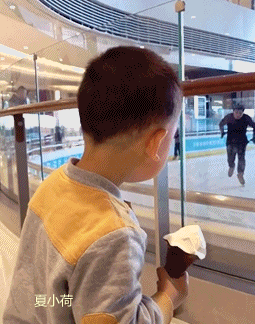 2.熊孩子一脸的懵逼:他为什么要撞玻璃啊?