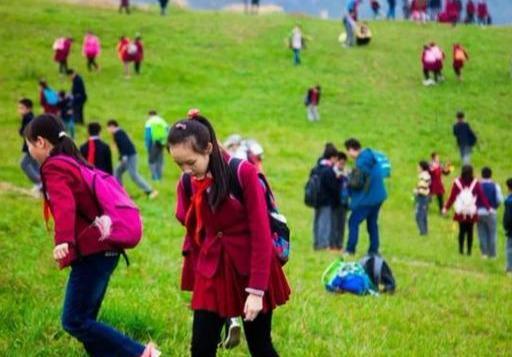 基于swot分析:我国中小学研学旅行发展策略研究!深度好文