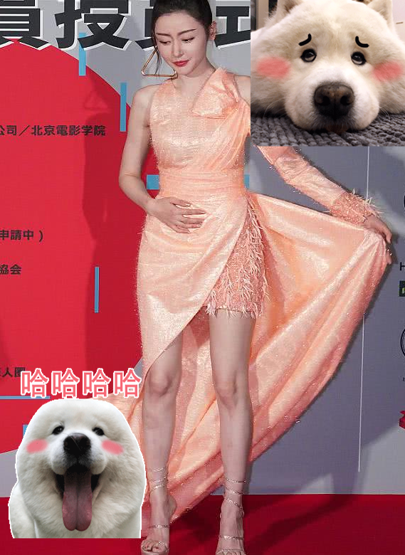 张天爱太大胆了,活动中故意掀起裙摆,百万网友疯狂截图