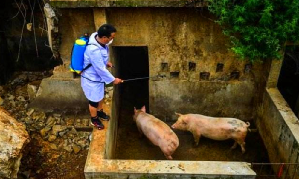 农村要求厕所和猪圈等一律不能建在房屋外面,可行性大
