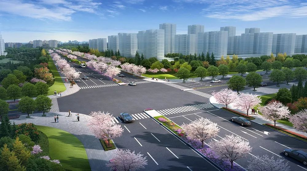 嘉兴这条路要通车了,设计800米樱花大道!效果图惊艳