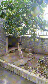 没办法,我楞是舍着老脸,把她从3楼推到1楼,然后求保安大哥帮忙,把车子