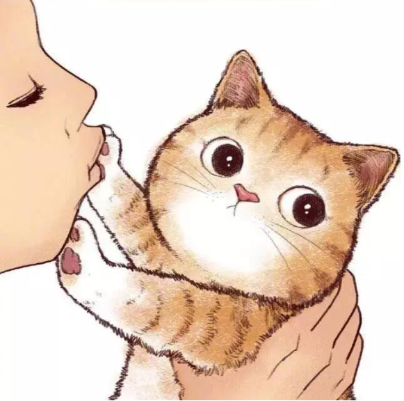 猫咪,宠物猫,主人猫咪,养猫,无毛猫