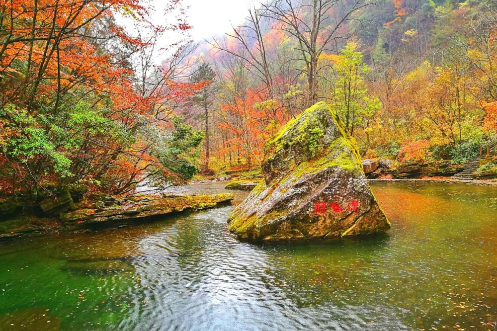 汉中的"陕西九寨沟",一到深秋就红叶漫山,层林尽染,美