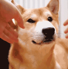 羡慕嫉妒!李易峰和朗朗在微博被刷屏了……什么情况?