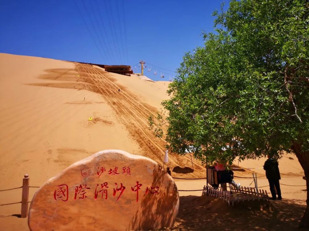 沙坡头景区,沙漠,中卫市,黄河,景区