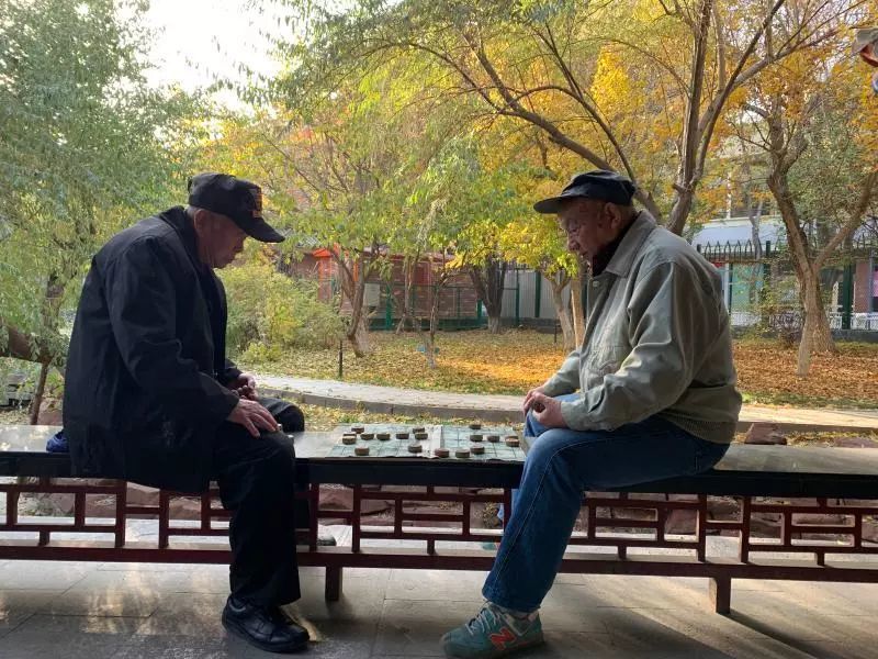 人民公园秋景如画