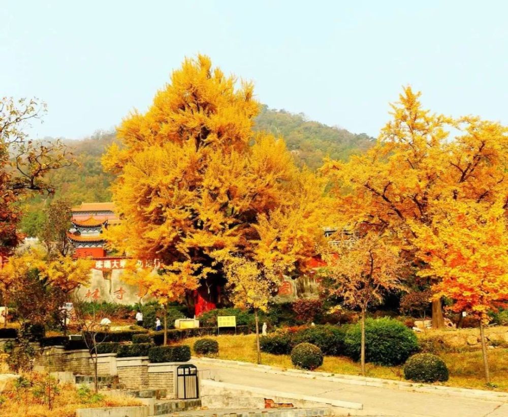 遵化禅林寺的石构件