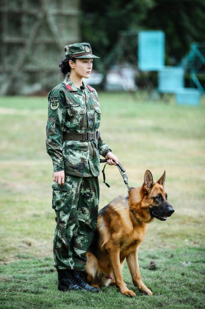 张馨予,艾勒薇斯,警犬,军嫂,何捷