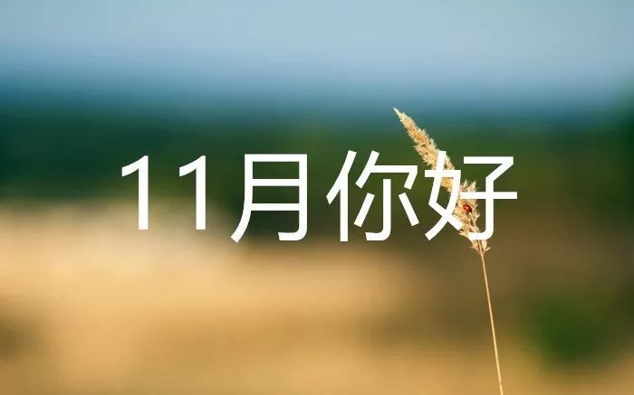 再见10月,你好11月,11月朋友圈说说!