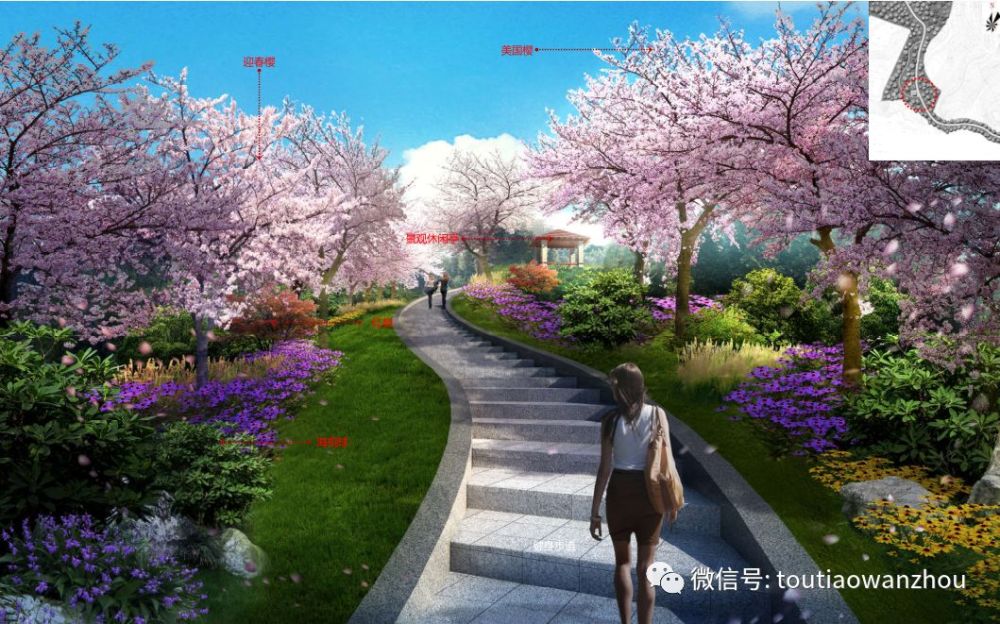 万州樱花主题公园动工修建了,具体位置在
