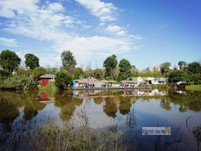 自贡秋天里的卧龙湖湿地公园