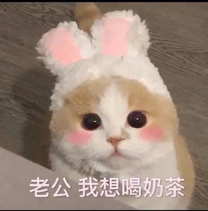 全是调戏男朋友的表情包