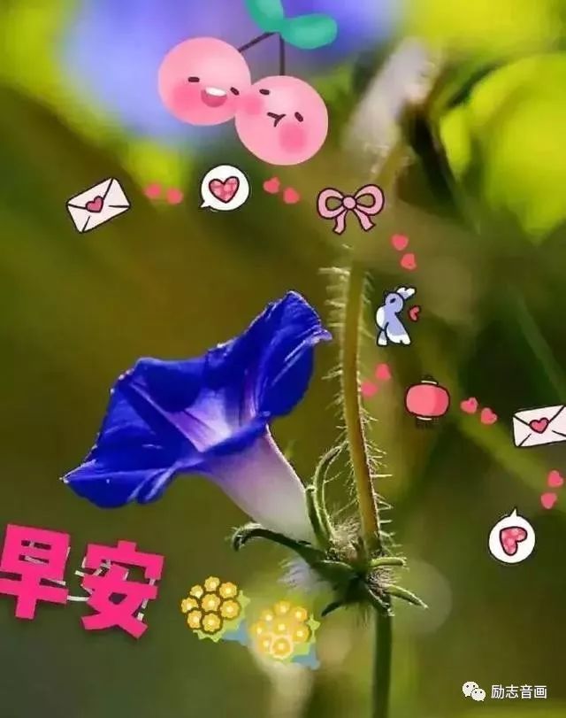 周日祝福图片 早上好问候句子