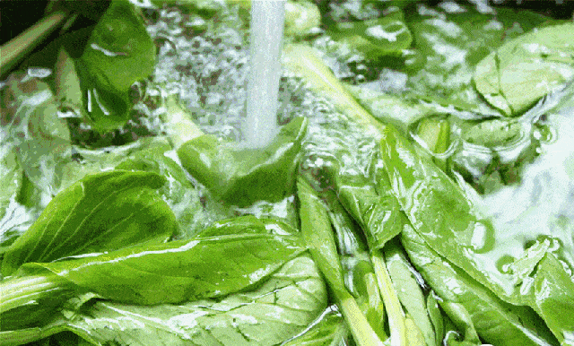 在扬州,有种吃刮叫菜粥