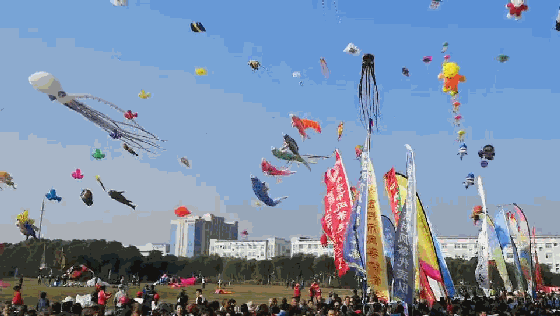 据了解 本届国际风筝邀请赛 全国风筝精英赛(宜兴站) 江苏省风筝公开