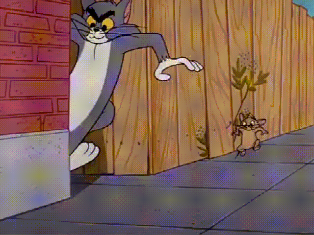 机灵老鼠和小笨猫,汤姆猫又在欺负杰瑞,同居一室的两小只!