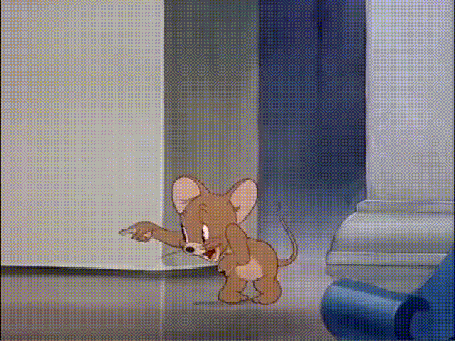 和猫同居的老鼠,把家里搞得一塌糊涂,汤姆真是个大笨猫!
