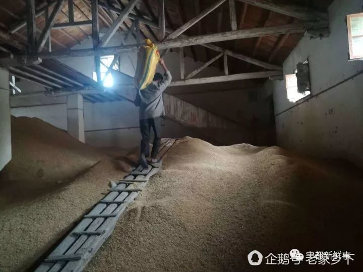 宁都这个老粮管所,你还记得多少?