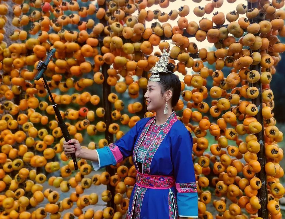 广西桂林市恭城瑶族自治县于10月26日举办第十六届桂林恭城月柿节