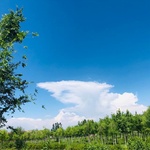 打卡内蒙古呼和浩特市的小众景点,本地人来不多,轻松游玩一天!