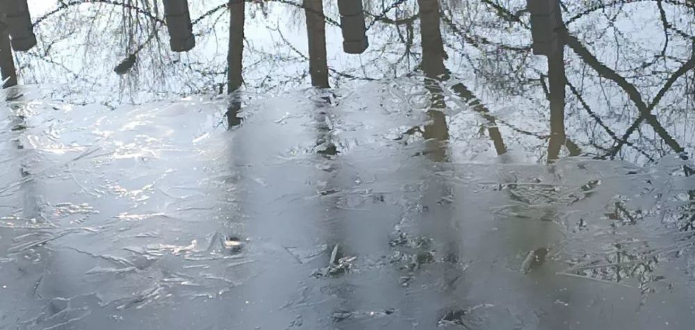 多云,哈尔滨,大兴安岭,雨夹雪,偏北风