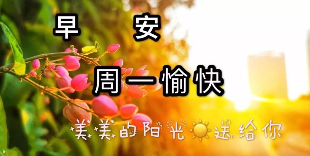 周一清晨特漂亮早上好祝福图片文字,暖心的早上好祝福