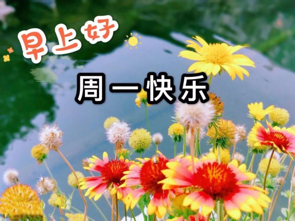 祝福短信,晨光,安康