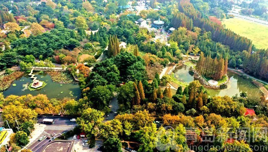 青岛,崂山,中山公园,八大关,秋景