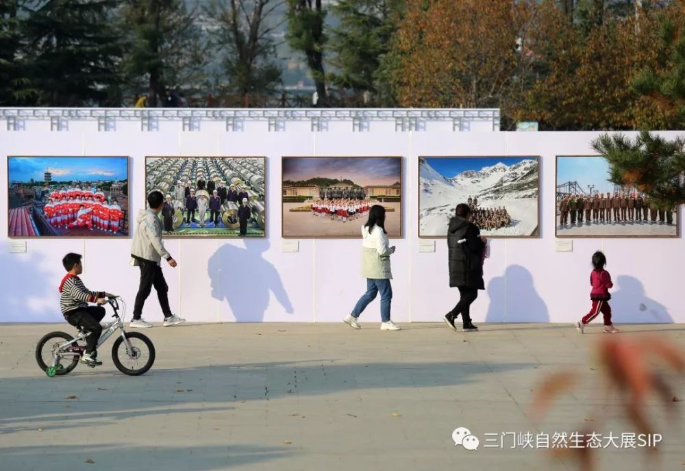 天鹅之城——第三届中国三门峡自然生态国际摄影大展分展场亮点提前看