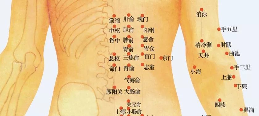 腹泻等消化系统疾病,可取中脘,天枢,大肠俞等穴位;对于因长期感受风寒