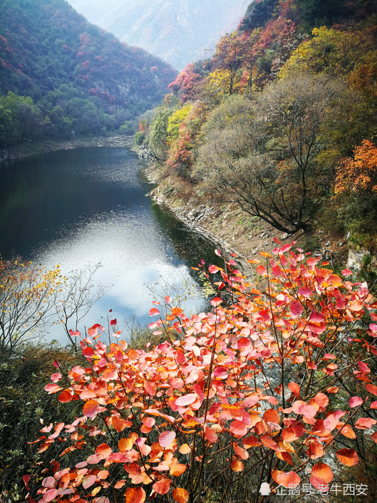 秦岭秋色,翠华山美景