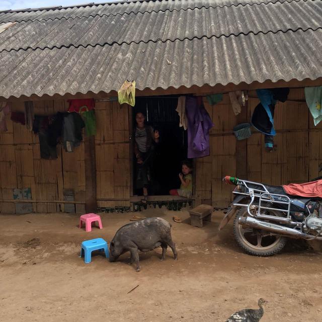 中国人去老挝旅游,看到了农村女人的真实生活,特别能干活